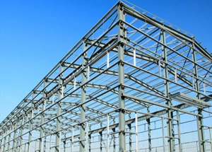 Shed Construction